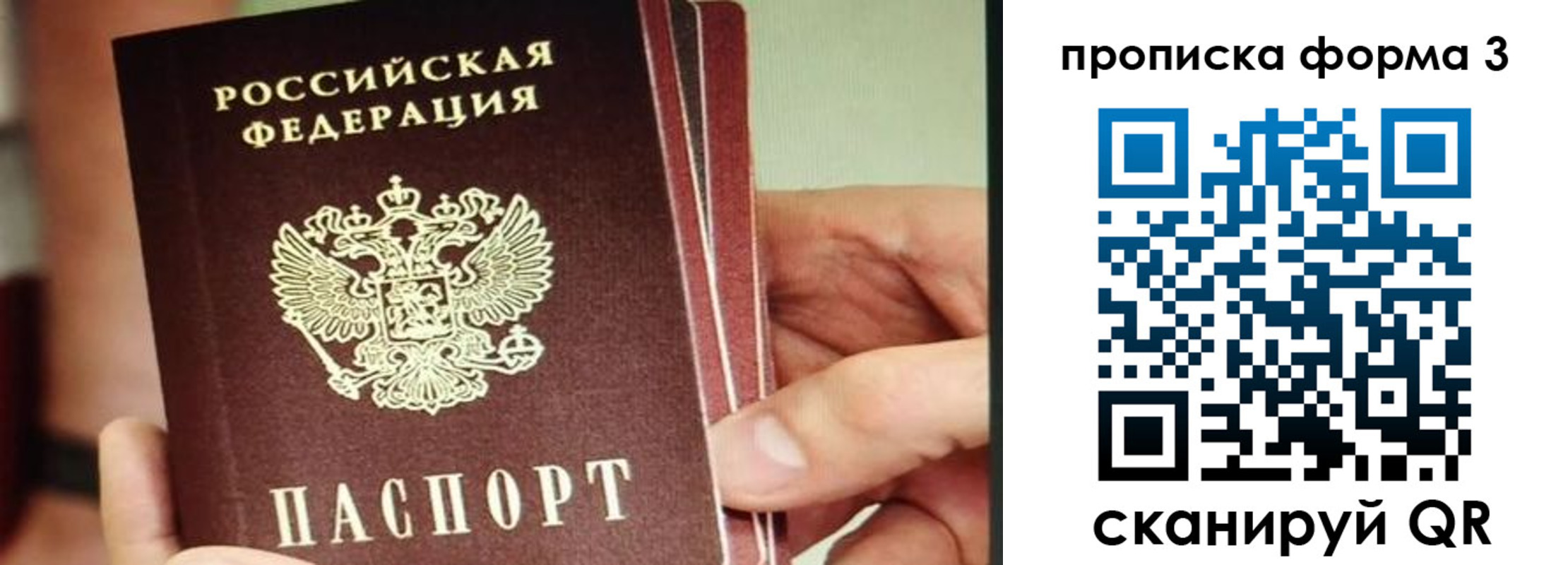 прописка законно в Шатуре